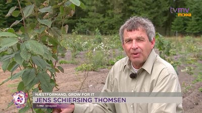 TV MIDTVEST indslag om GROW|FOR|IT