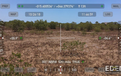 Se de nye billeder af vores mangrove-plantninger