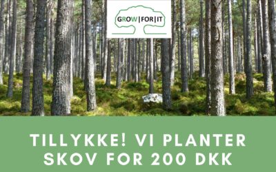 Klima-gavekort: Gør en ven CO₂-neutral i ét år for 200 DKK