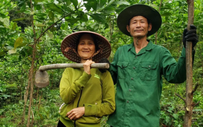 25 hektar skov på vej i Vietnam