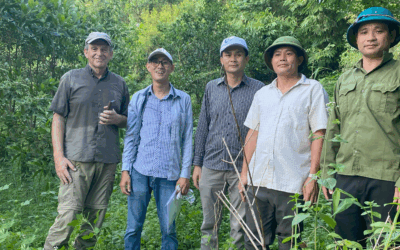 Vietnam plantninger i Hoa Binh 2025